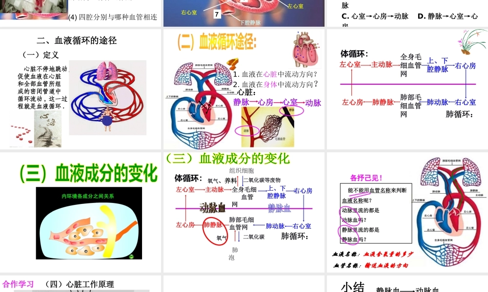 4.3 输送血液的泵——心脏课件 (1)