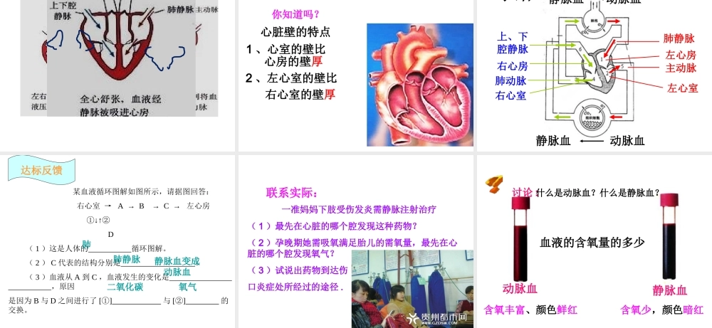 4.3 输送血液的泵——心脏课件 (1)