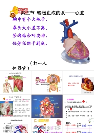 4.3 输送血液的泵——心脏课件 (1)