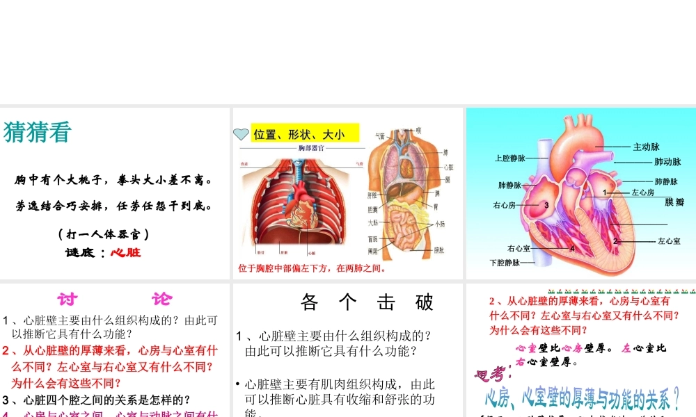 4.3 输送血液的泵——心脏课件 (2)