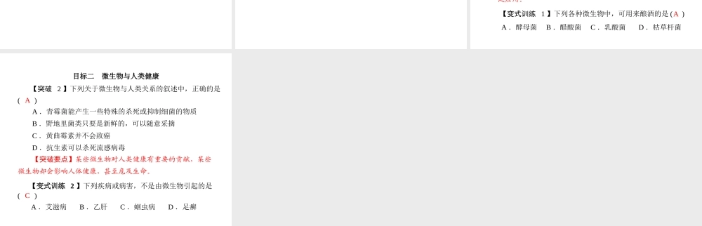 《随堂优化训练》2011年八年级生物上册 第5单元 第18章 第2节 微生物与人类的关系 配套课件 北师大版