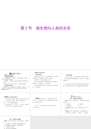 《随堂优化训练》2011年八年级生物上册 第5单元 第18章 第2节 微生物与人类的关系 配套课件 北师大版