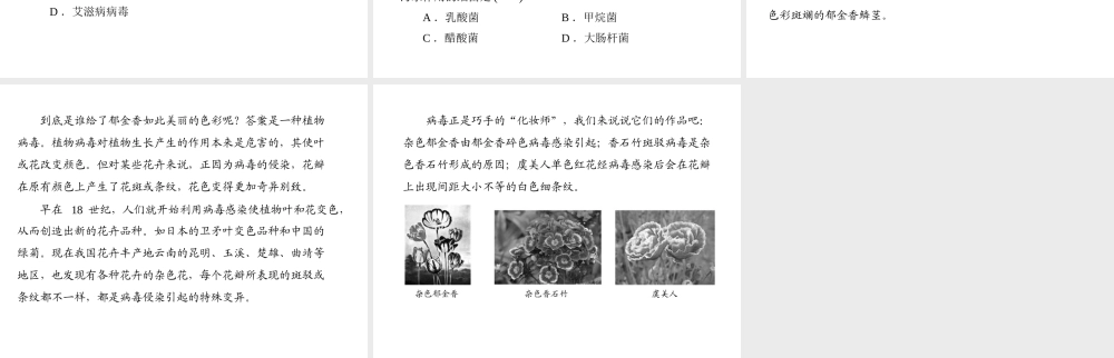 《随堂优化训练》2011年八年级生物上册 第5单元 第18章 章末知识提升 配套课件 北师大版