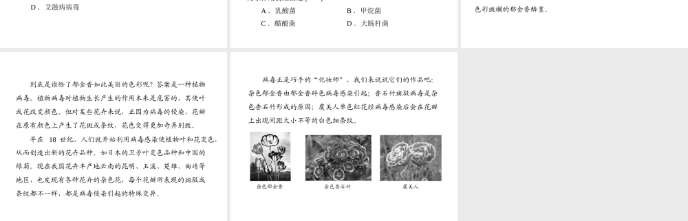 《随堂优化训练》2011年八年级生物上册 第5单元 第18章 章末知识提升课件 北师大版