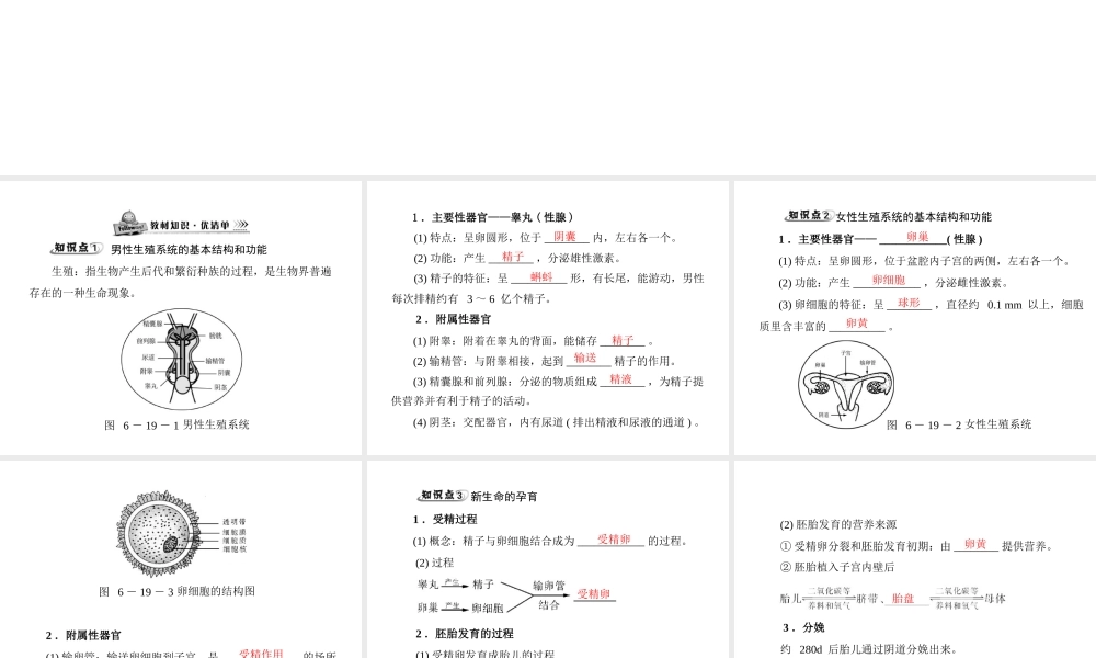 《随堂优化训练》2011年八年级生物上册 第6单元 第19章 第1节 人的生殖和发育 配套课件 北师大版