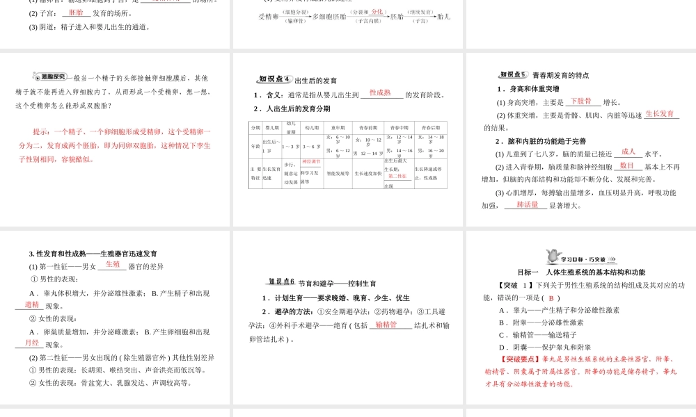 《随堂优化训练》2011年八年级生物上册 第6单元 第19章 第1节 人的生殖和发育课件 北师大版