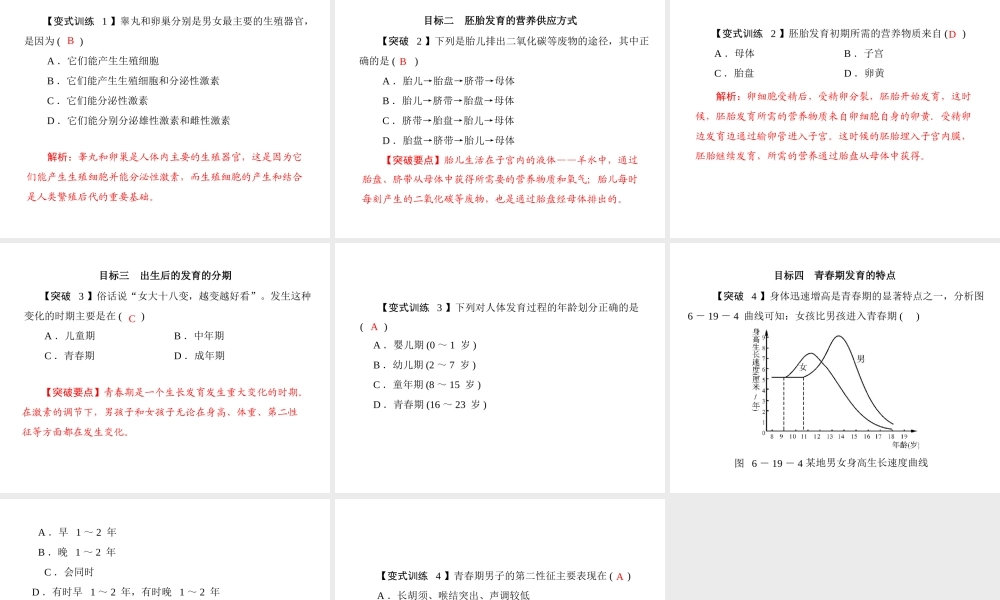 《随堂优化训练》2011年八年级生物上册 第6单元 第19章 第1节 人的生殖和发育课件 北师大版