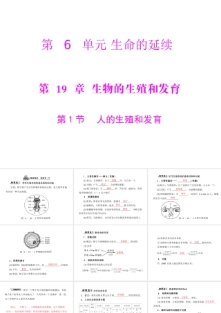 《随堂优化训练》2011年八年级生物上册 第6单元 第19章 第1节 人的生殖和发育课件 北师大版