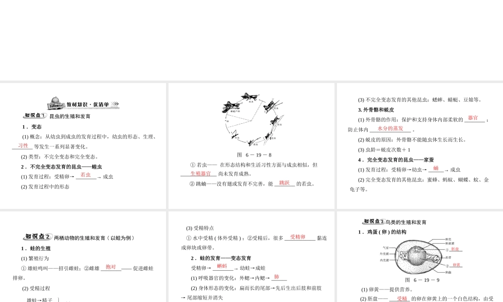 《随堂优化训练》2011年八年级生物上册 第6单元 第19章 第2节 动物的生殖和发育 配套课件 北师大版