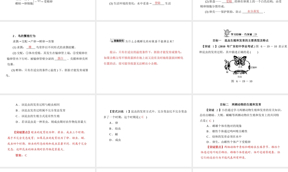 《随堂优化训练》2011年八年级生物上册 第6单元 第19章 第2节 动物的生殖和发育课件 北师大版