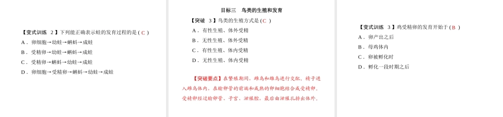 《随堂优化训练》2011年八年级生物上册 第6单元 第19章 第2节 动物的生殖和发育课件 北师大版