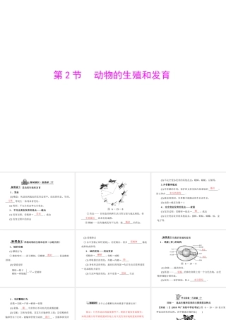 《随堂优化训练》2011年八年级生物上册 第6单元 第19章 第2节 动物的生殖和发育课件 北师大版