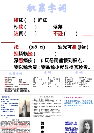 2级语文上册 第三单元 第5课《藤野先生》课件 新人教版