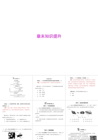 《随堂优化训练》2011年八年级生物上册 第6单元 第19章 章末知识提升 配套课件 北师大版