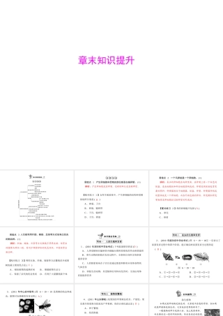 《随堂优化训练》2011年八年级生物上册 第6单元 第19章 章末知识提升课件 北师大版