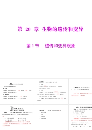 《随堂优化训练》2011年八年级生物上册 第6单元 第20章 第1节 遗传和变异现象 配套课件 北师大版