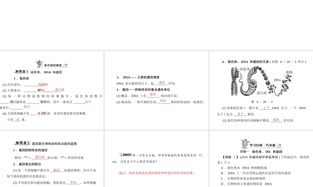 《随堂优化训练》2011年八年级生物上册 第6单元 第20章 第2节 性状遗传的物质基础 配套课件 北师大版
