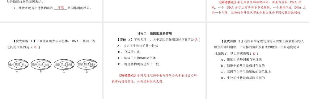 《随堂优化训练》2011年八年级生物上册 第6单元 第20章 第2节 性状遗传的物质基础 配套课件 北师大版