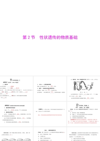 《随堂优化训练》2011年八年级生物上册 第6单元 第20章 第2节 性状遗传的物质基础课件 北师大版