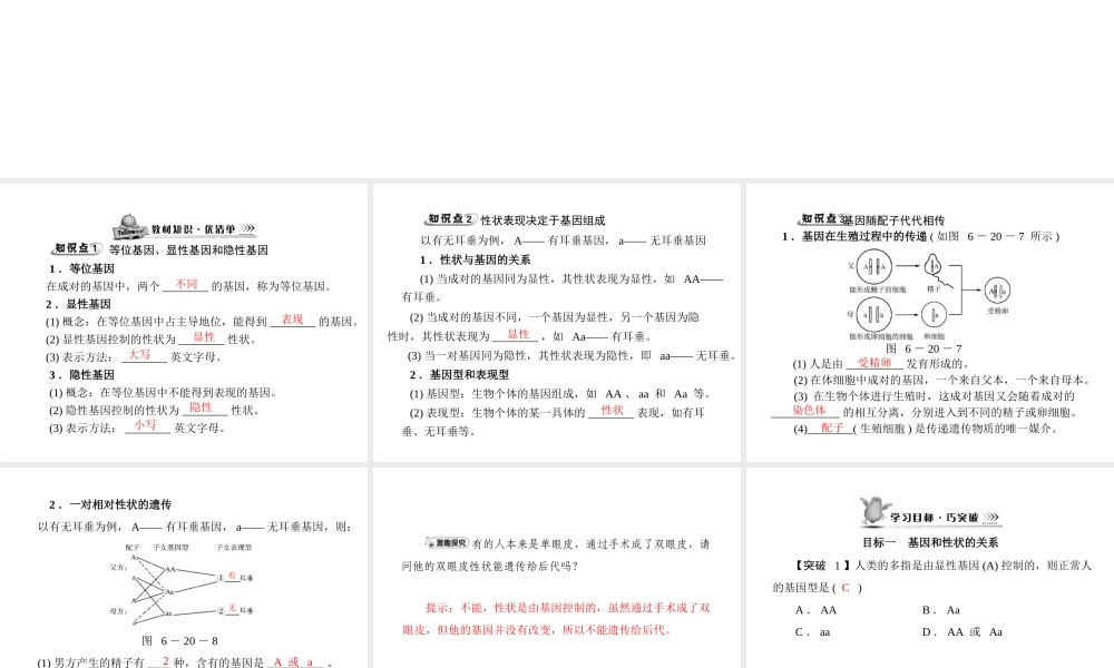《随堂优化训练》2011年八年级生物上册 第6单元 第20章 第3节 性状遗传有一定的规律性 配套课件 北师大版