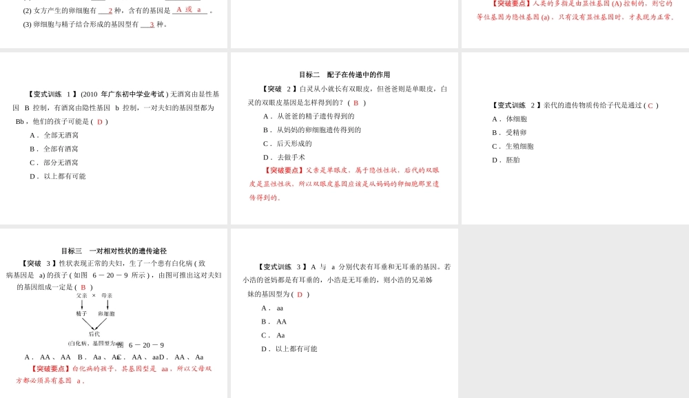 《随堂优化训练》2011年八年级生物上册 第6单元 第20章 第3节 性状遗传有一定的规律性 配套课件 北师大版