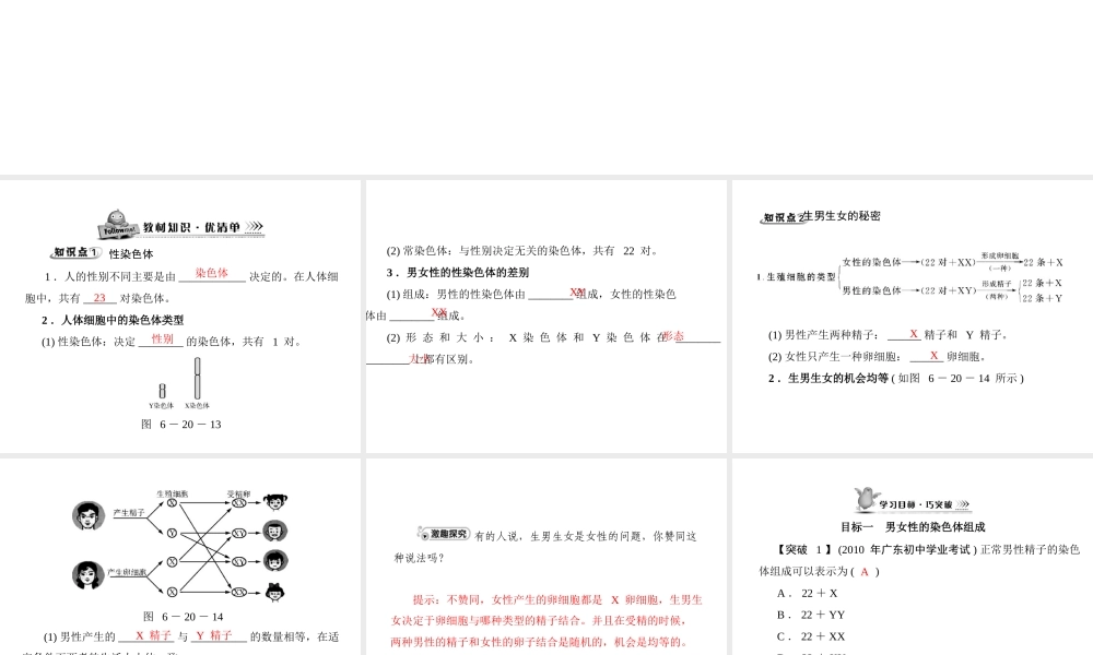 《随堂优化训练》2011年八年级生物上册 第6单元 第20章 第4节 性别和性别决定 配套课件 北师大版