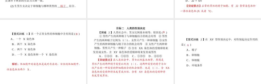 《随堂优化训练》2011年八年级生物上册 第6单元 第20章 第4节 性别和性别决定 配套课件 北师大版