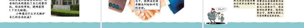 5.3  善用法律   教学优质课件