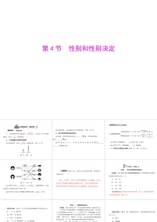 《随堂优化训练》2011年八年级生物上册 第6单元 第20章 第4节 性别和性别决定课件 北师大版
