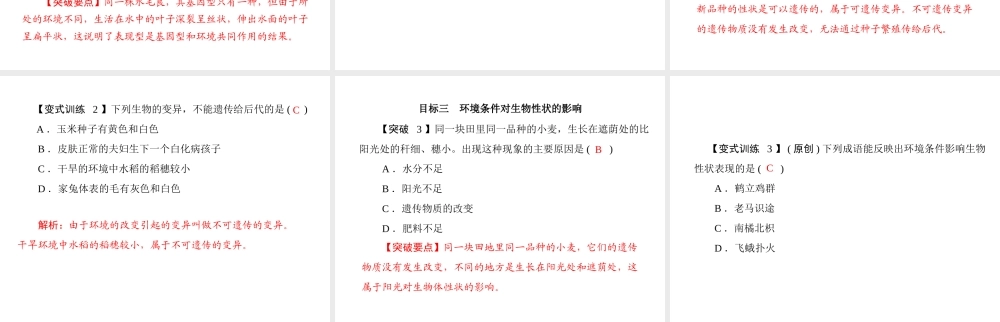 《随堂优化训练》2011年八年级生物上册 第6单元 第20章 第5节 遗传与环境 配套课件 北师大版