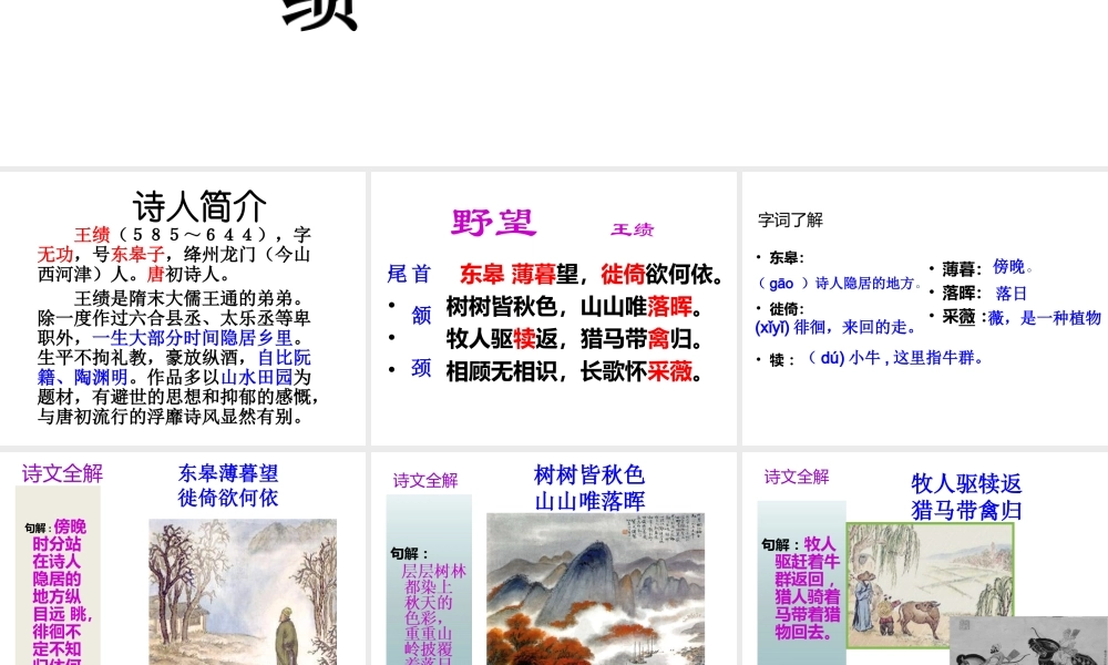 2级语文上册 第三单元 第12课 唐诗五首《野望》课件 新人教版