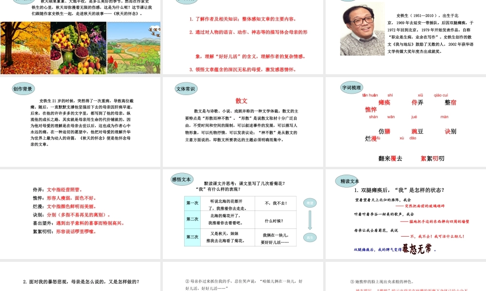 5.秋天的怀念课件