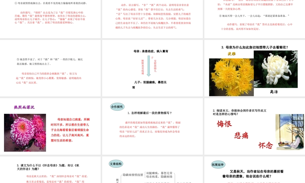 5.秋天的怀念课件