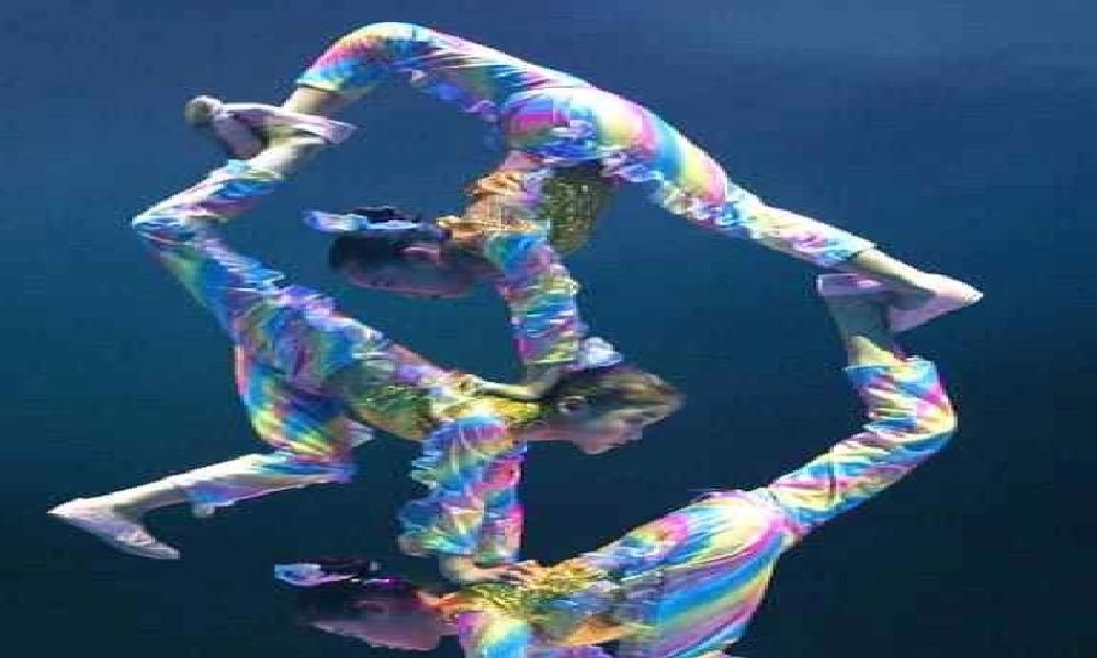 6.2 神经系统的组成课件(1)