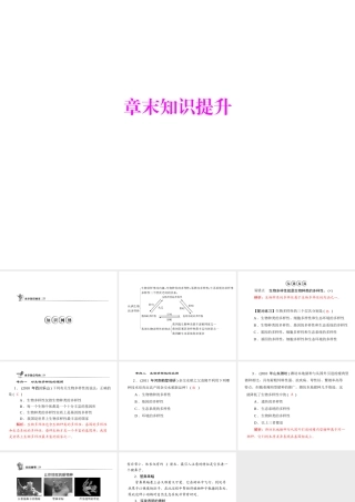 《随堂优化训练》2011年八年级生物上册 第六单元 第二章 认识生物的多样性 章末知识提升 配套课件 人教新课标版