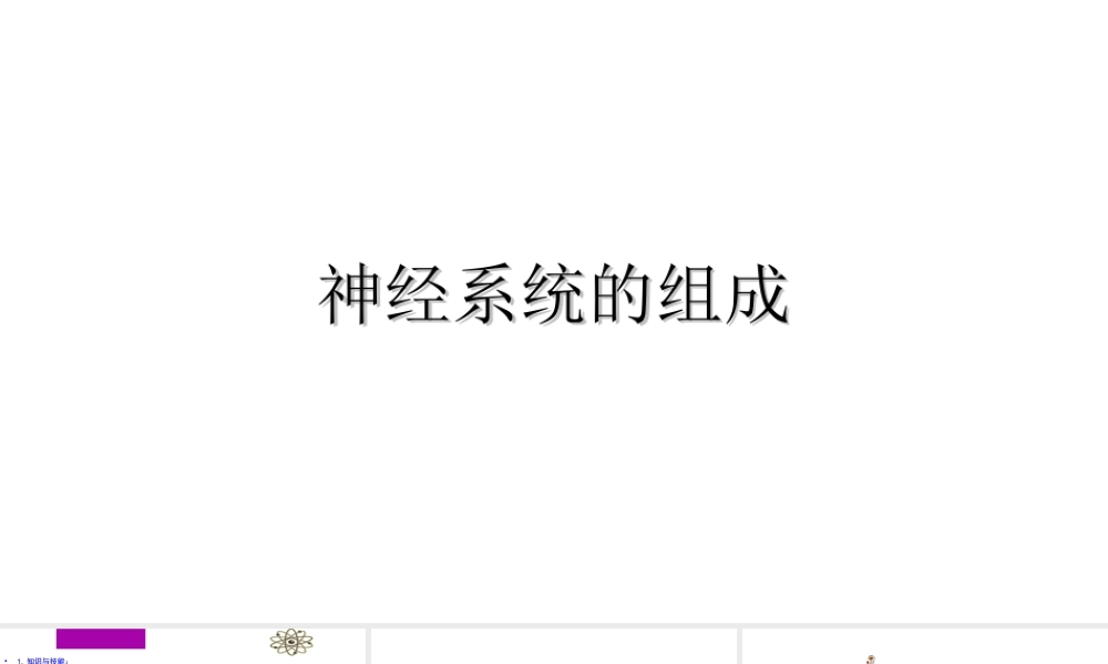 6.2 神经系统的组成课件(3)
