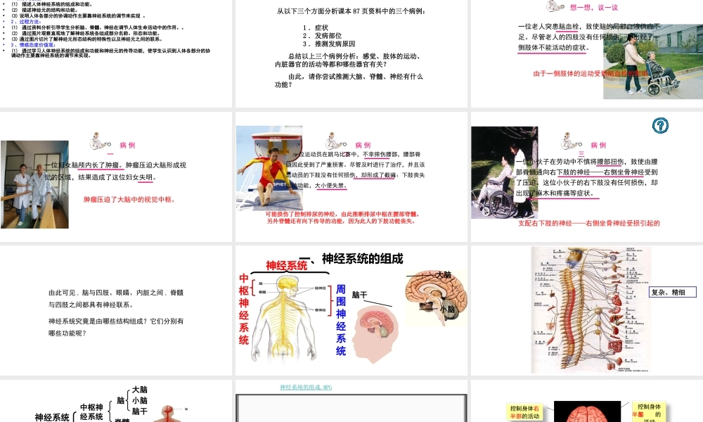 6.2 神经系统的组成课件(3)