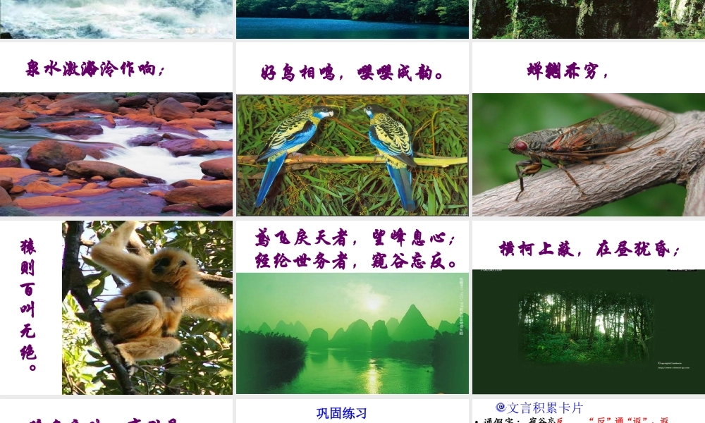 2级语文上册 第三单元 课外古诗词诵读《庭中有奇树》课件 新人教版