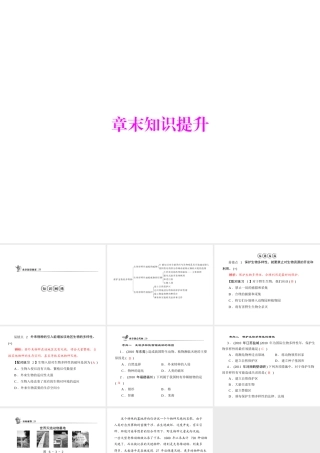 《随堂优化训练》2011年八年级生物上册 第六单元 第三章 保护生物的多样性 章末知识提升 配套课件 人教新课标版