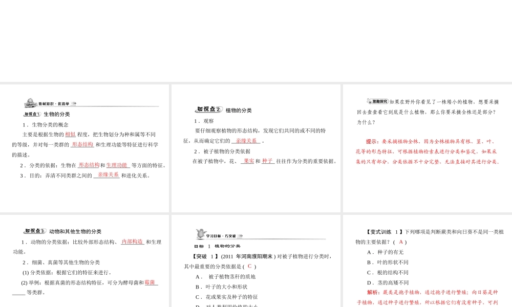 《随堂优化训练》2011年八年级生物上册 第六单元 第一章 根据生物的特征进行分类 第一节 尝试对生物进行分类 配套课件 人教新课标版