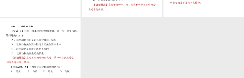 《随堂优化训练》2011年八年级生物上册 第六单元 第一章 根据生物的特征进行分类 第一节 尝试对生物进行分类 配套课件 人教新课标版