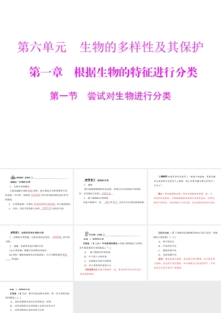 《随堂优化训练》2011年八年级生物上册 第六单元 第一章 根据生物的特征进行分类 第一节 尝试对生物进行分类 配套课件 人教新课标版