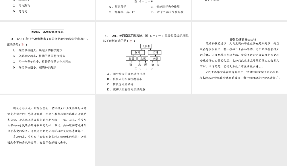 《随堂优化训练》2011年八年级生物上册 第六单元 第一章 根据生物的特征进行分类 章末知识提升 配套课件 人教新课标版