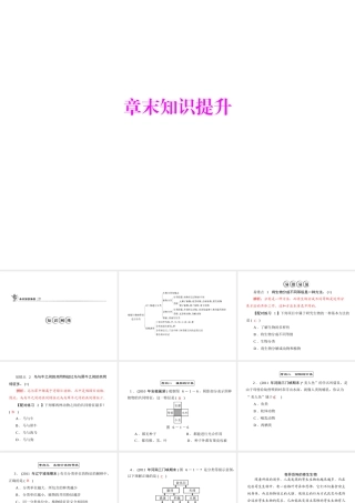 《随堂优化训练》2011年八年级生物上册 第六单元 第一章 根据生物的特征进行分类 章末知识提升 配套课件 人教新课标版
