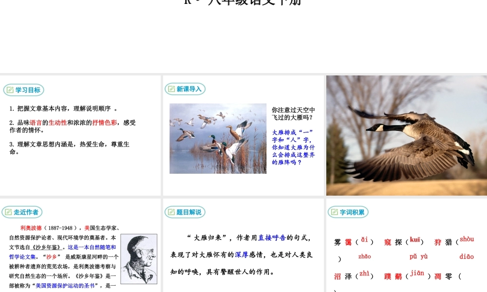 7 大雁归来课件