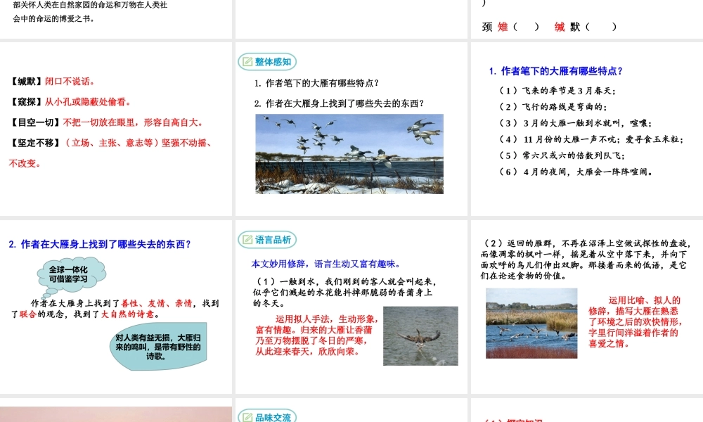 7 大雁归来课件