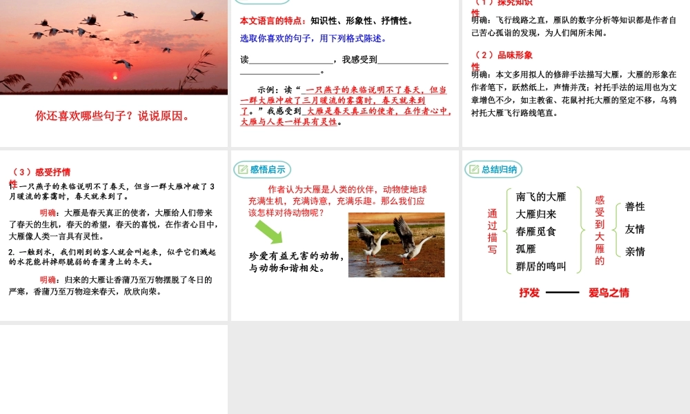 7 大雁归来课件