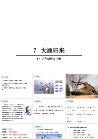 7 大雁归来课件