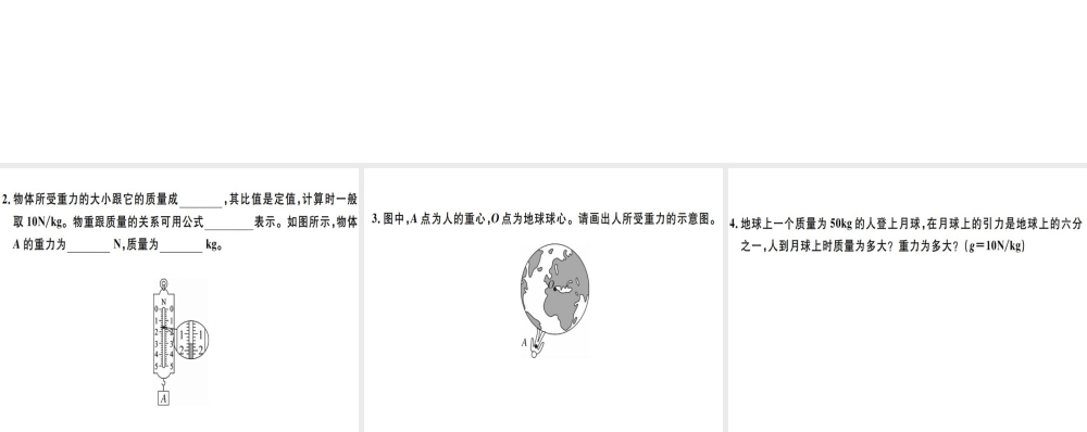 2019八年级物理下册 第七章 第3节 重力习题课件 （新版）新人教版
