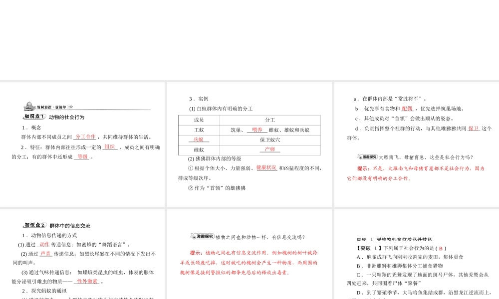 《随堂优化训练》2011年八年级生物上册 第五单元 第二章 动物的运动和行为 第三节 社会行为 配套课件 人教新课标版